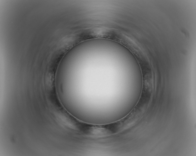 X0000112070605200908111434