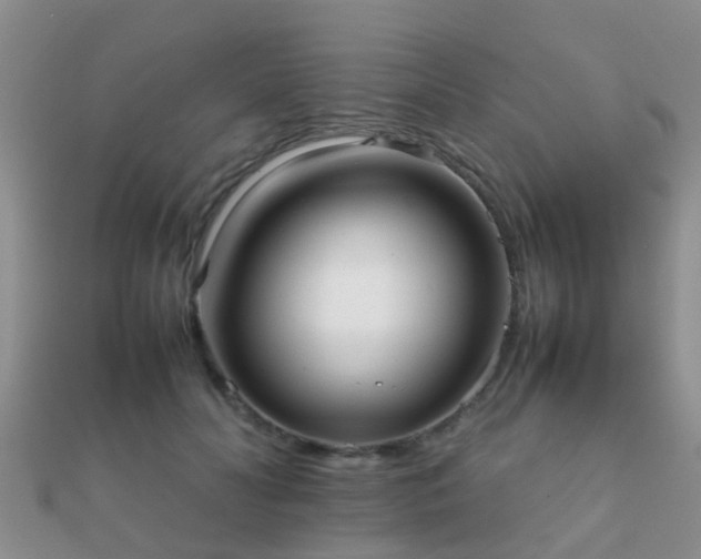 X0000112070606200908111434