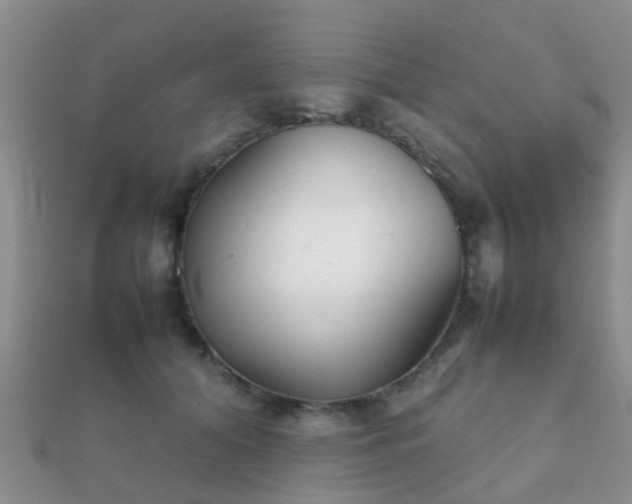 X0000112070608200908111434