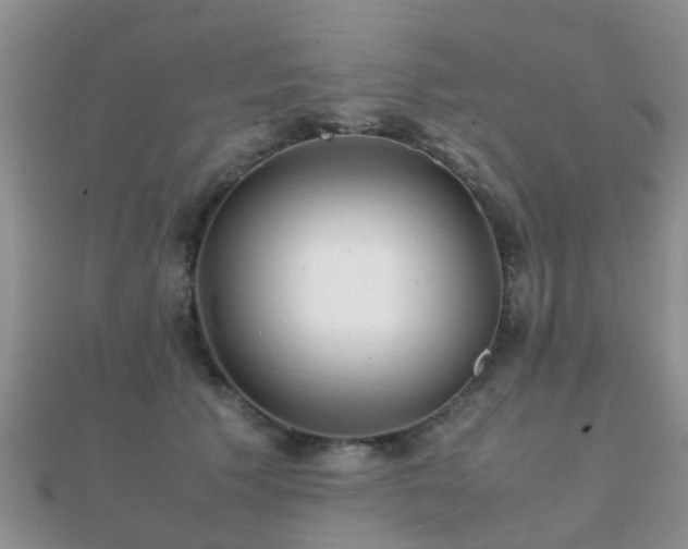 X0000112070609200908111434