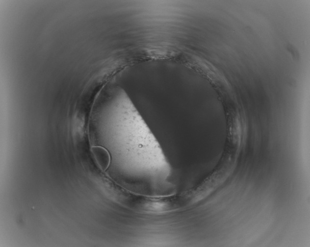 X0000112070610200908111434