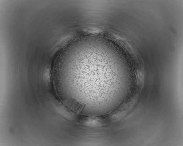 X0000112070612200908111434