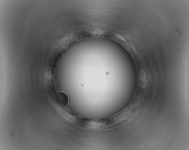 X0000112070614200908111434