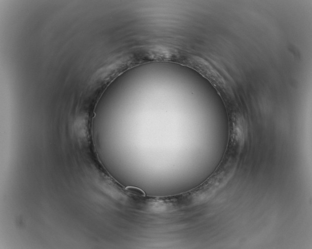 X0000112070616200908111434