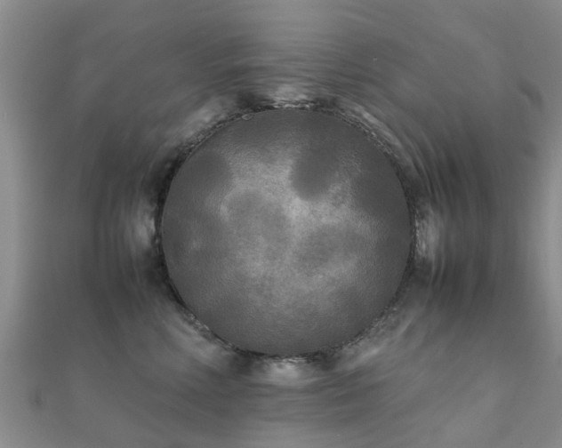 X0000112070618200908111434