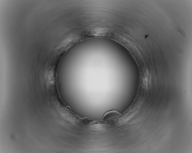 X0000112070620200908111434