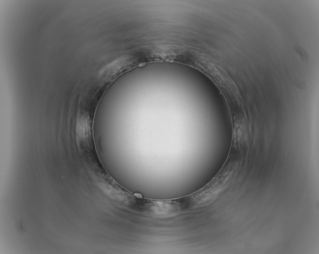 X0000112070623200908111434