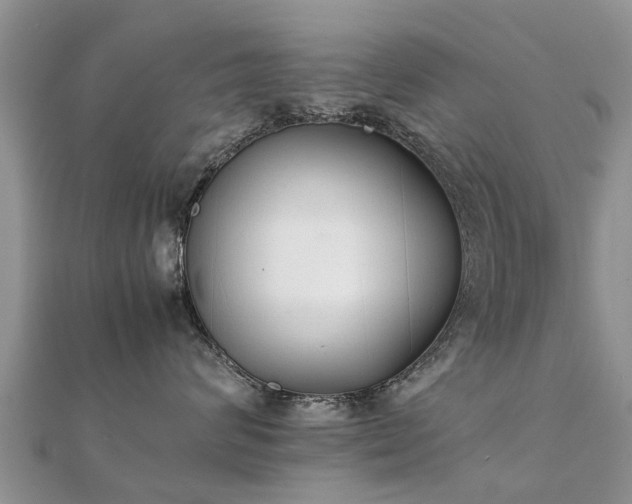 X0000112070624200908111434