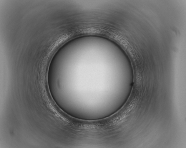 X0000112070625200908111433