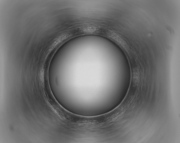 X0000112070626200908111433