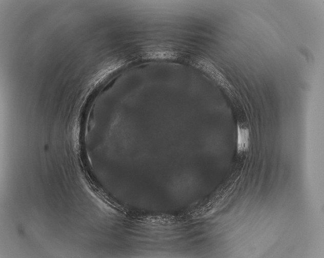 X0000112070627200908111433