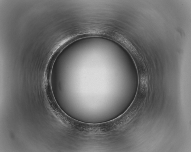 X0000112070628200908111434