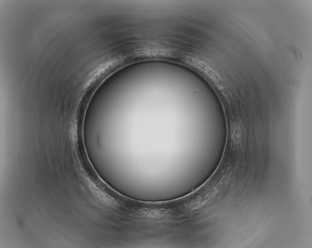 X0000112070629200908111434