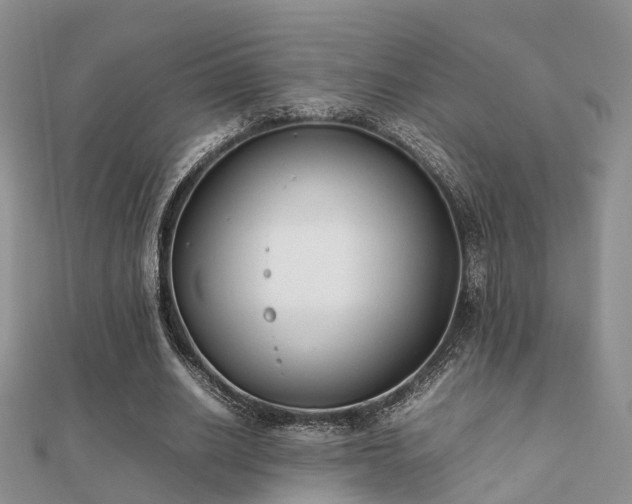 X0000112070630200908111434