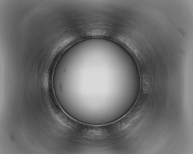 X0000112070631200908111434