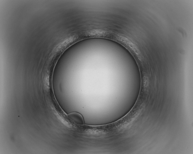 X0000112070633200908111434