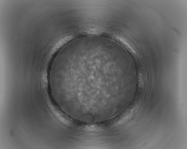 X0000112070634200908111434