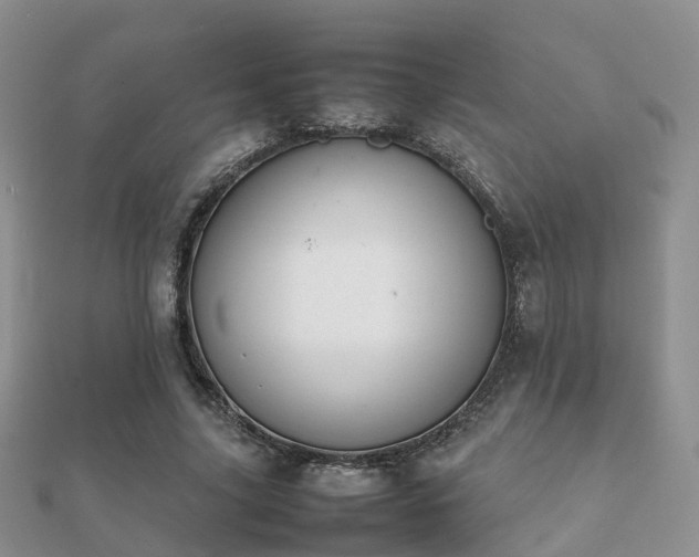 X0000112070635200908111434