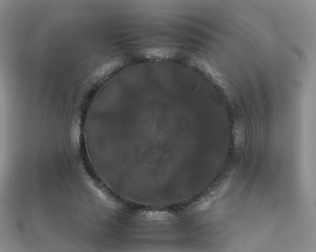 X0000112070637200908111434