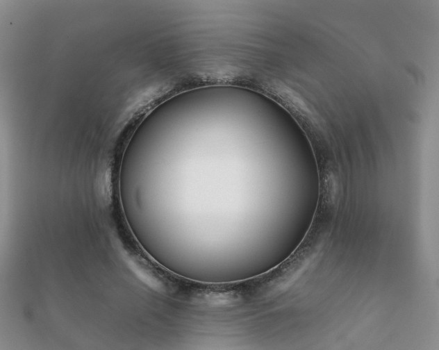 X0000112070638200908111434