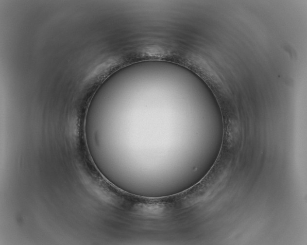 X0000112070639200908111434