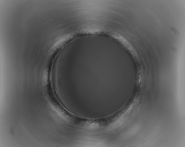 X0000112070640200908111434