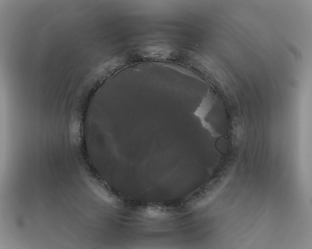 X0000112070641200908111434