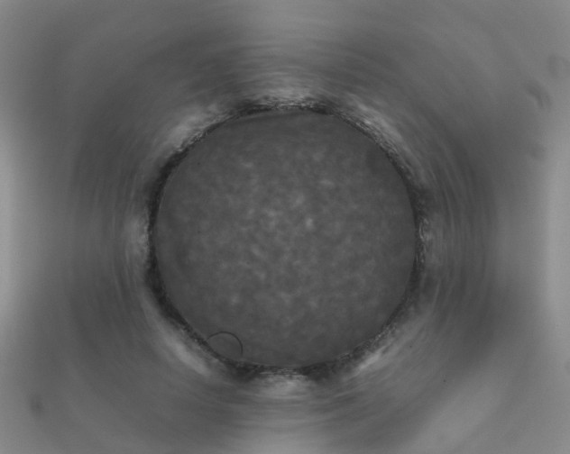 X0000112070642200908111434