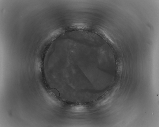 X0000112070643200908111434