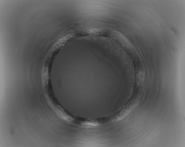 X0000112070644200908111434