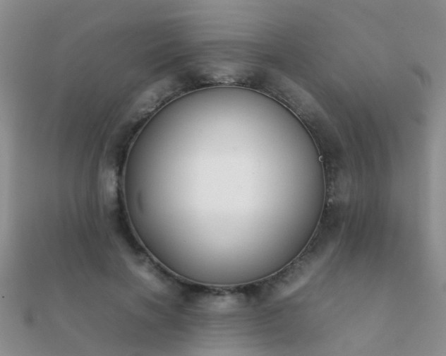 X0000112070646200908111434