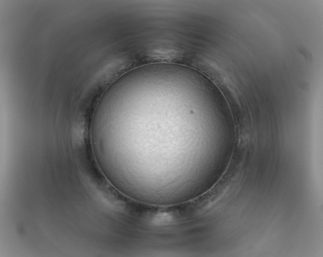 X0000112070647200908111434