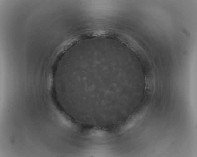 X0000112070648200908111434