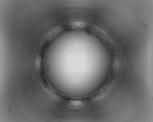 X0000112070649200908111434