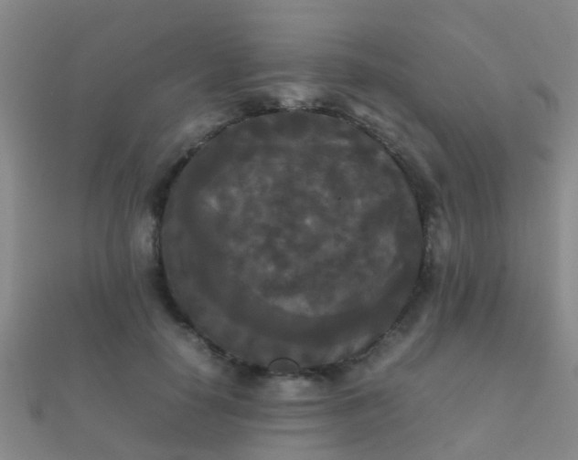 X0000112070650200908111434