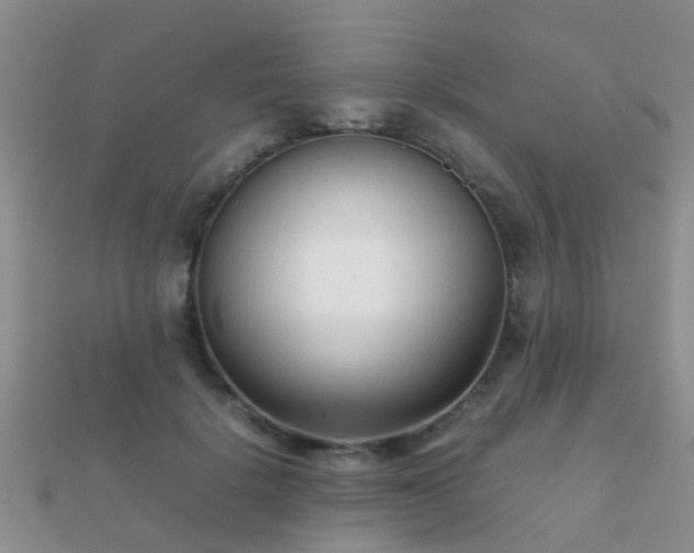 X0000112070652200908111434