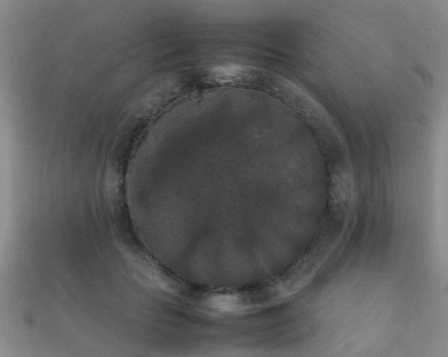 X0000112070653200908111434