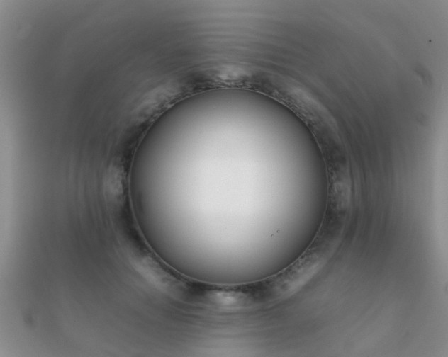 X0000112070654200908111434