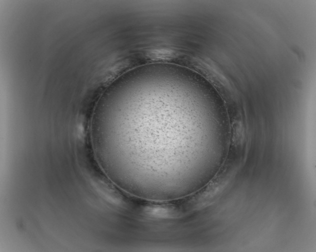 X0000112070655200908111434