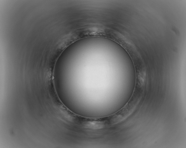 X0000112070657200908111434