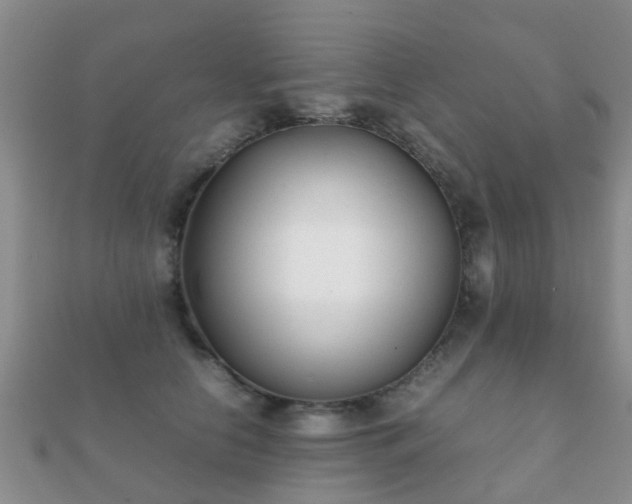 X0000112070658200908111434