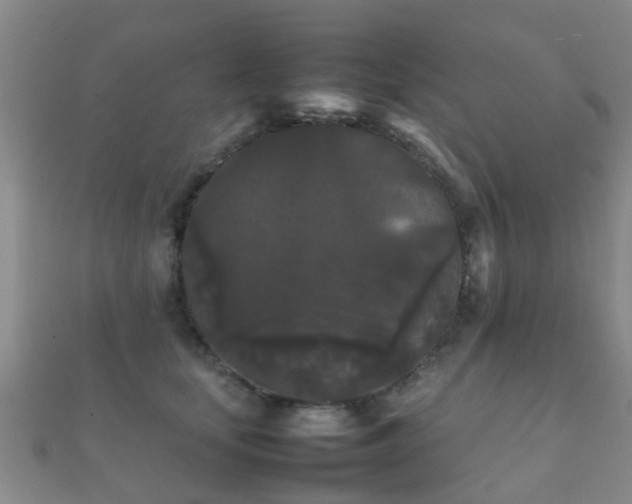 X0000112070659200908111434