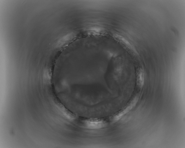 X0000112070661200908111434