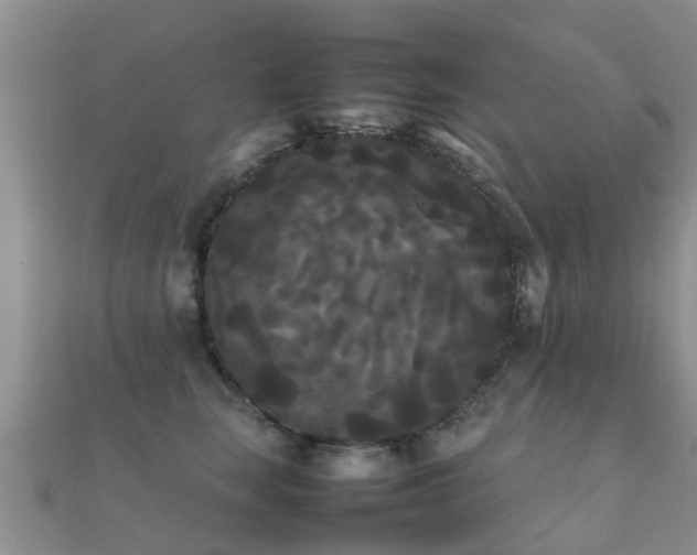 X0000112070663200908111434