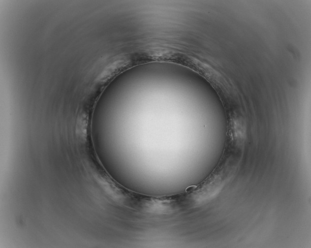 X0000112070664200908111434