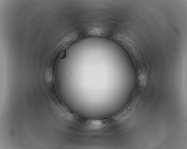 X0000112070665200908111434