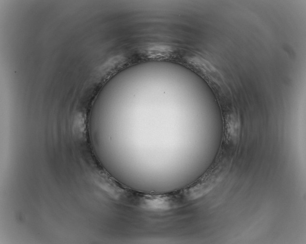 X0000112070667200908111434