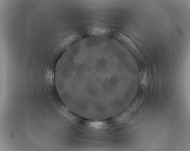 X0000112070669200908111434