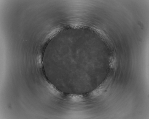 X0000112070670200908111434