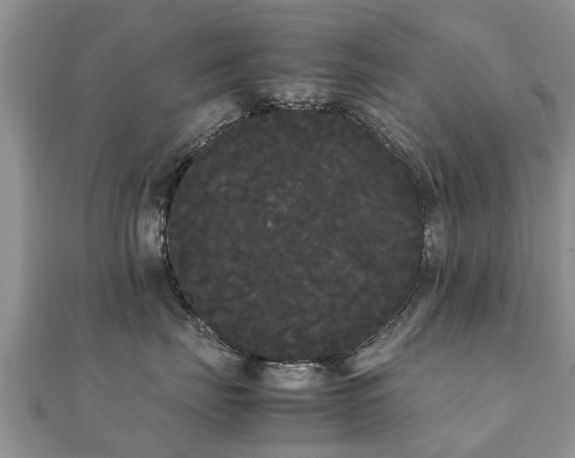 X0000112070671200908111434